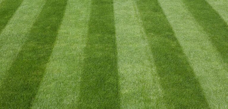 Beykoz Spor Sahalarında Akrilik ve Tartan Zemin Seçimi